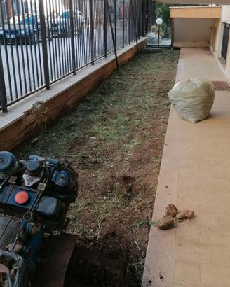 operatore agricolo lavori  trinciatura e  aratura