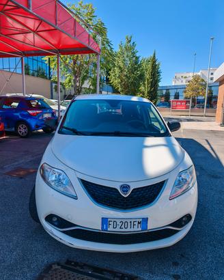 Lancia Ypsilon 0.9 TwinAir 85 CV 5 porte S&S DFN P