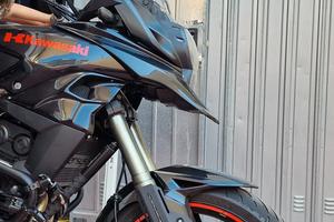 Kawasaki Versys 650 +scarico+valigie