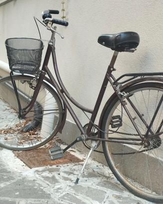 Bicicletta olandese
