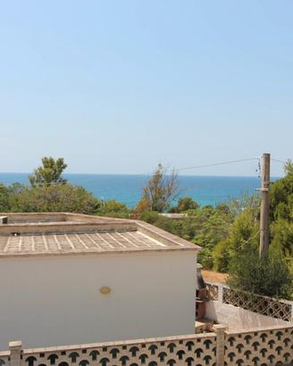 Vendita appartamento viale del ravanello marina di