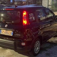 FIAT Panda 1.0 FireFly S&S Hybrid 6 Marce Blueto