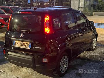 FIAT Panda 1.0 FireFly S&S Hybrid 6 Marce Blueto