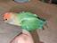 Immagine 2