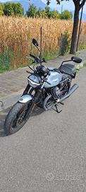 Moto Guzzi v7 Stone 850