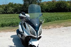 scooter kimco downtown 300