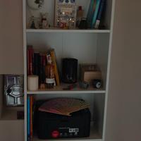 Libreria ikea Baggebo