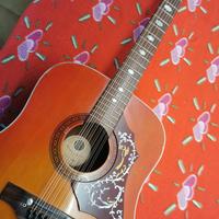 chitarra 12 corde usata pochissimo.