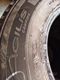 Mitchell agilis camping 