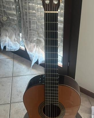 Paco castillo 204