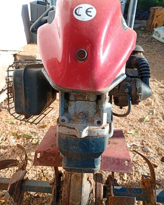 motozappa 