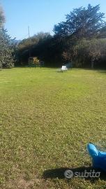 Casa con grande giardino circostante