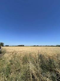 Rustico / Casale di 20040 m² a Tuscania