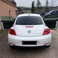 volkswagen maggiolino