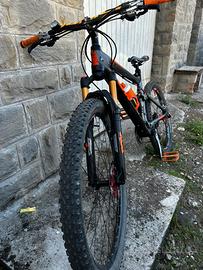 Bici mtb
