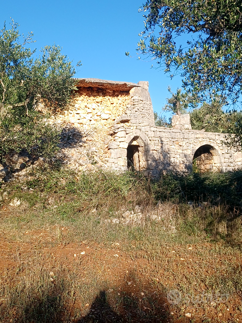 Terreno agricolo torretta ostunese uliveto - Vista 4