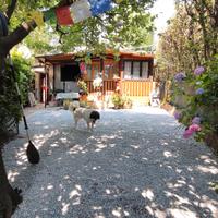 Casetta al Campeggio 4 Stagioni (Oggiono - LC)