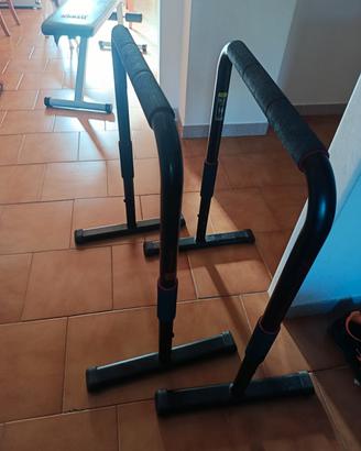 barre parallele palestra