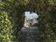 Immagine 25