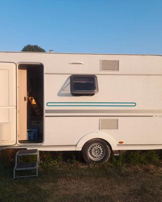 Adri Aviva 472 pk