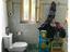 Immagine 7