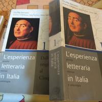 L'esperienza letteraria in Italia, Giulio Ferroni