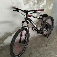 Rokrider ST 530 