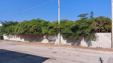 Terreno edificabile a Roca di Melendugno (Lecce)