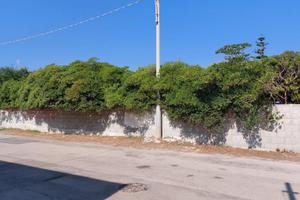 Terreno edificabile a Roca di Melendugno (Lecce)