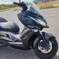 Kawasaki j300