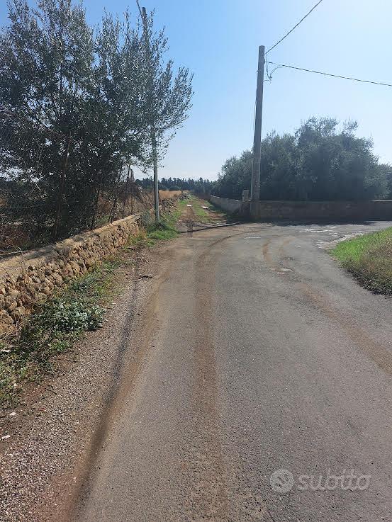 LOTTO DI 1800 MQ ZONA ARENELLA - Vista 2