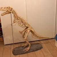 Modello T-REX