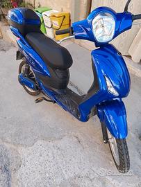 Bici elettrica vitale 💣
