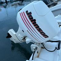Motore Johnson 40 cv barca Ranieri shark 17