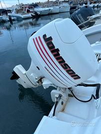 Motore Johnson 40 cv barca Ranieri shark 17