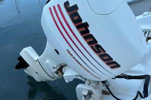 Motore Johnson 40 cv barca Ranieri shark 17