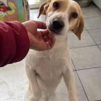 MOU dolcissimo 1 anno e mezzo