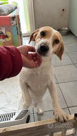 MOU dolcissimo 1 anno e mezzo