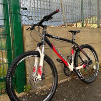 Mtb lee cougan