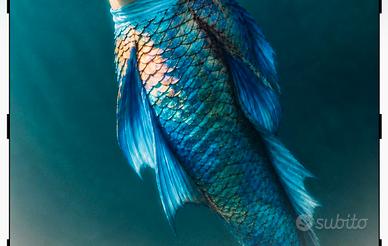 Fin Fun Mermaid coda sirena