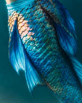 Fin Fun Mermaid coda sirena