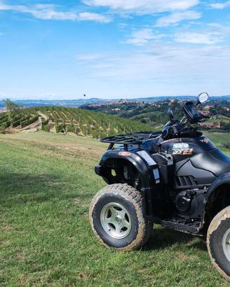 QUAD 520 GOES - CF MOTO 4.000 km anno 2013