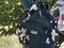 Immagine 4