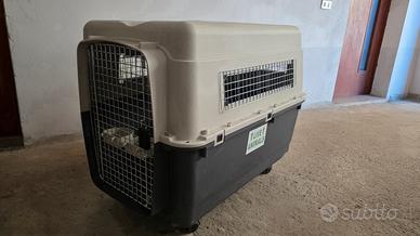 Trasportino per cani XXL IATA