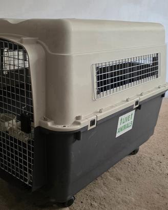 Trasportino per cani XXL IATA
