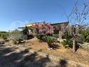 villa-singola-nettuno-cod-villa-cast-miramvrg-