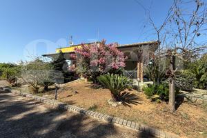 Villa singola Nettuno [Cod.Villa cast.miramVRG]