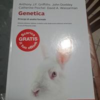 libri universitari 