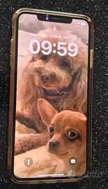 iPhone X Max 64GB Oro