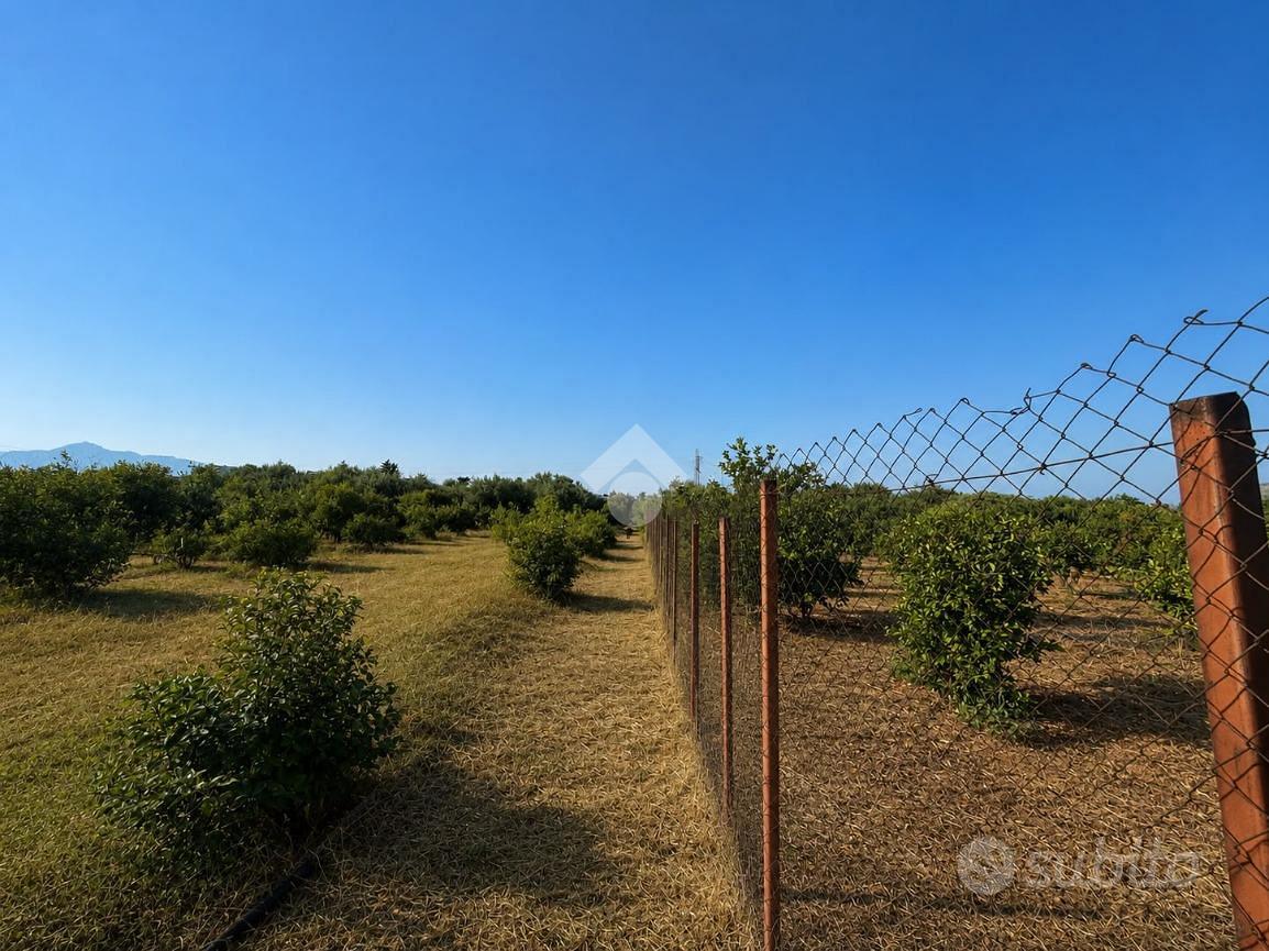 TER. AGRICOLO A FICARAZZI - Vista 5